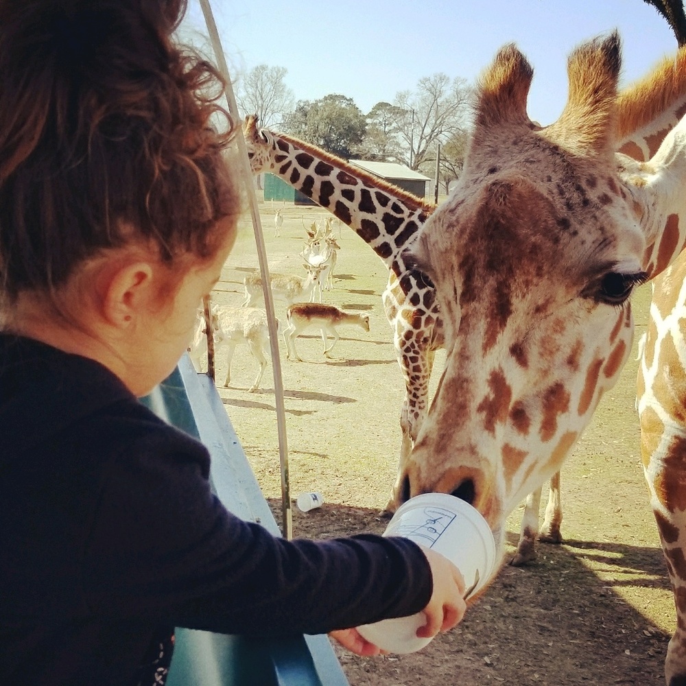 Meet your Posher, Erica